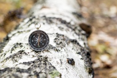 arazi yönlendirme için pusula