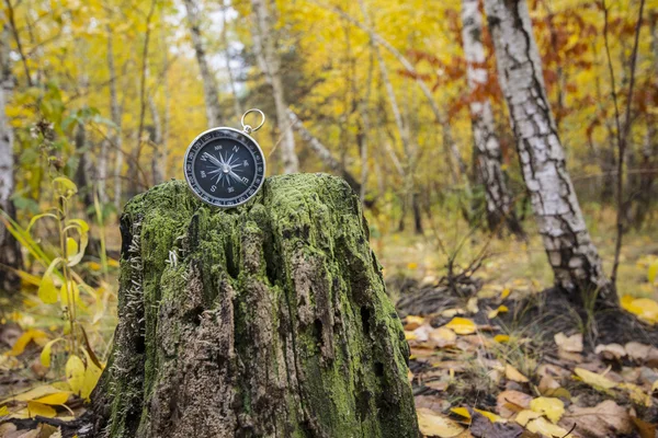 arazi yönlendirme için pusula