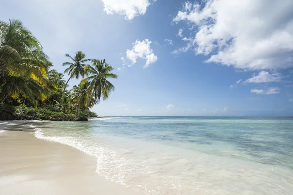 Idyllic Caribbean coastline — Stock Photo, Image