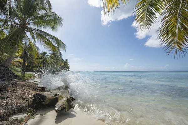 Idealic Caribische kust met splash Stockafbeelding