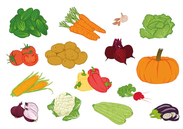 Vektor illustrationer av grönsaker — Stock vektor