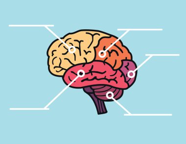 Boşaltmak başlık ile beyin Haritası