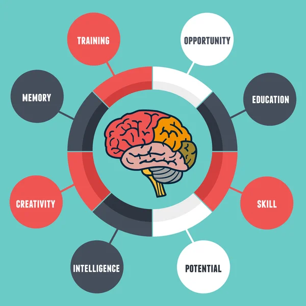 Infografías vectoriales de habilidades y cualidades del cerebro humano — Archivo Imágenes Vectoriales