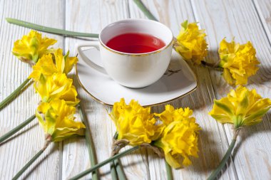 Nergis çiçek bahar