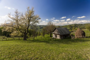 Karpat Dağları bahar
