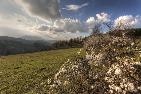 Montagnes des Carpates au printemps — Photo