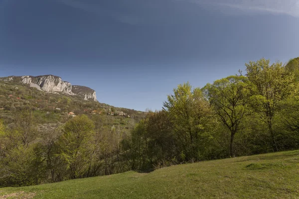 Carpathian Mountains in spring — Stock Photo, Image