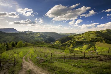 Karpat Dağları bahar