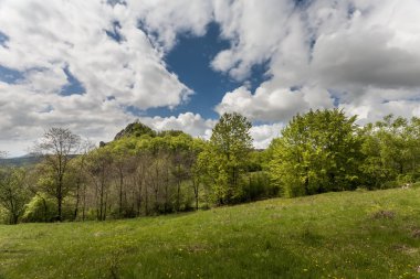Karpat Dağları bahar