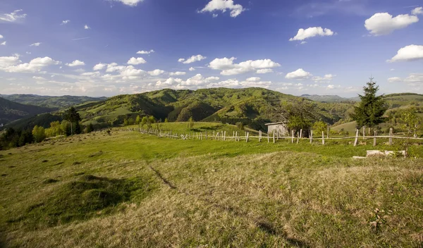 Carpathian Mountains in spring