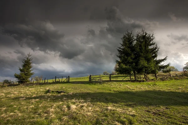 Carpathian Mountains in spring — Stock Photo, Image