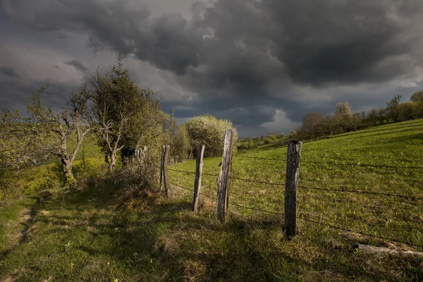 Carpathian Mountains in spring — Stock Photo, Image