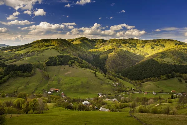 Carpathian Mountains in spring — Stock Photo, Image