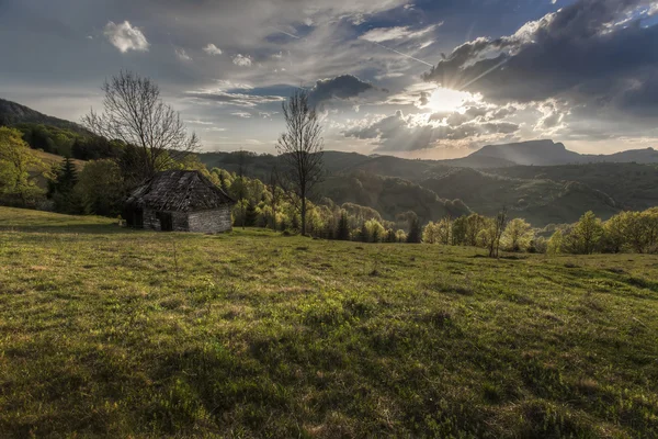 Carpathian Mountains in spring — Stock Photo, Image