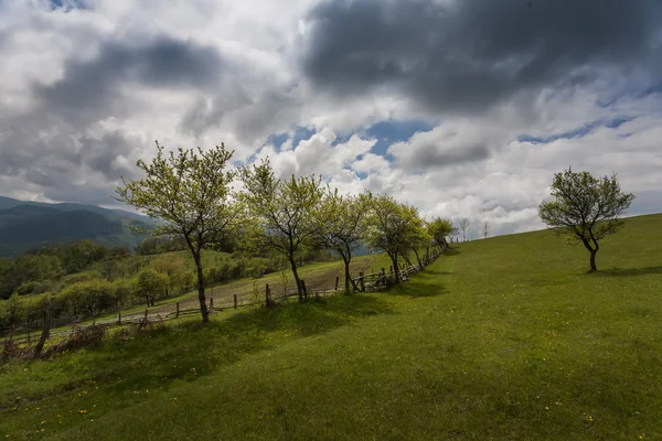 Montagne Carpazie in primavera — Foto Stock