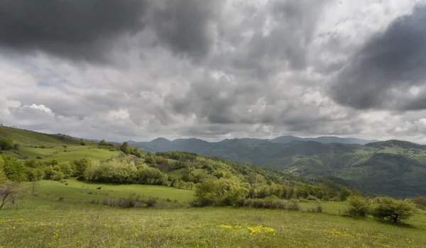 Montagnes des Carpates au printemps — Photo