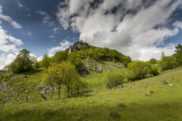 Pegunungan Carpathian di musim semi — Stok Foto