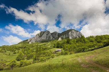 Karpat Dağları bahar
