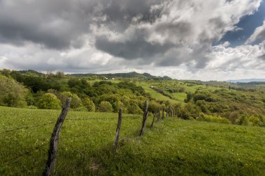 Karpat Dağları bahar