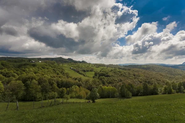 Montagnes des Carpates au printemps — Photo