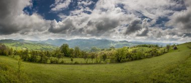 Karpat Dağları bahar