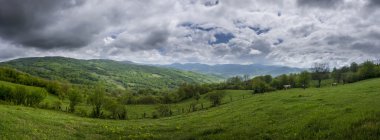 Karpat Dağları bahar