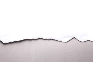 Gri arka planda beyaz yırtık kağıt. koleksiyon kağıdı yırtılması