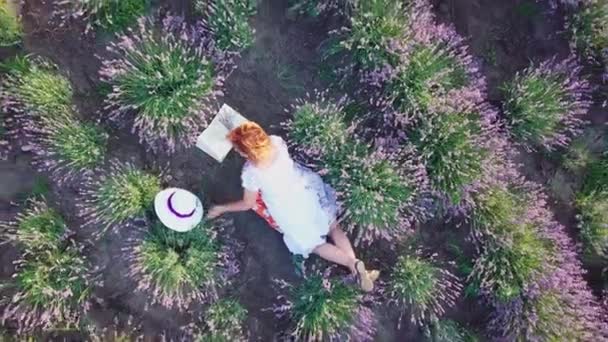 Hermosa Chica Con Libro Campo Lavanda Vista Aérea Desde Dron — Vídeos de Stock