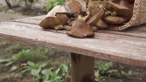 Kosz Pełen Dużych Grzybów Drewnianym Stole Odkrytym — Wideo stockowe