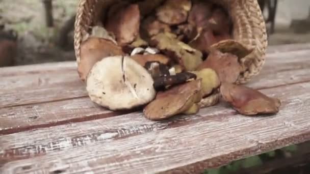 Mand Vol Met Grote Paddenstoelen Houten Tafel Buiten — Stockvideo