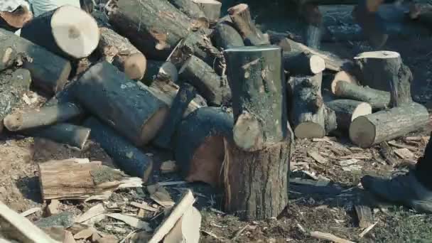 Homens Cortando Lenha Para Aquecimento Casa — Vídeo de Stock