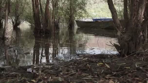 River Old Metal Kürek Balıkçı Teknesi Ağaçların Arasına Açılır Yüksek — Stok video