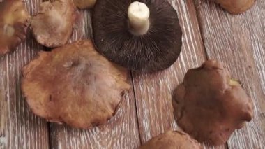 Kahverengi ahşap masaya yerleştirilmiş taze karışık mantarlar. Üst manzara, düz uzanma.