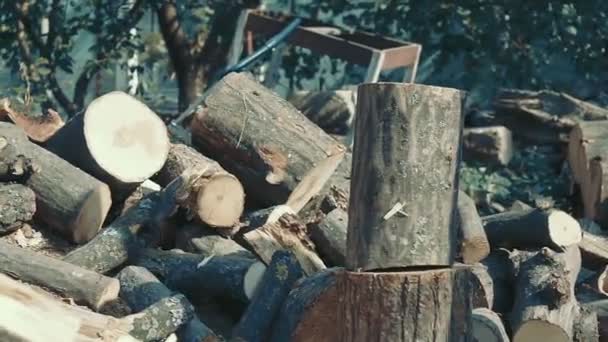 家で加熱するために薪を切る男. — ストック動画