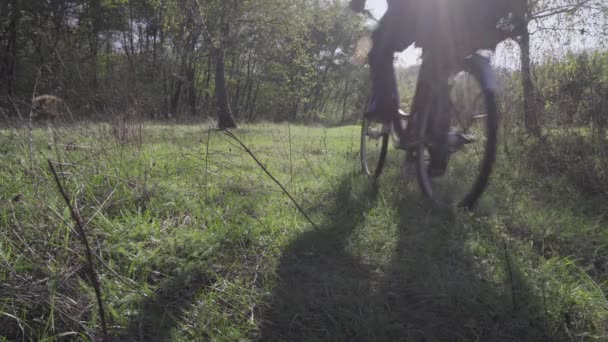사람은 자전거를 타고 가을 숲 속을 걷는다 — 비디오