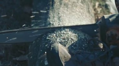 Tahta kütüğü testere ile kesiliyor.