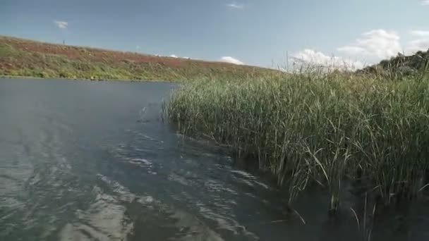 Reeds Rio Azul Céu Vith Nuvens — Vídeo de Stock