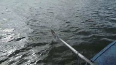 Büyük nehirde tekne gezintisi. Küreklerden biri yakın plan görünüyor. Temiz su.