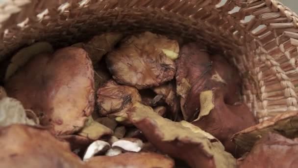 Basket Full Big Mushrooms Wooden Table Outdoor — Stock Video