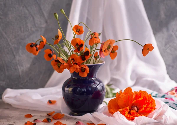 Little Red Poppies Bouquet Arranged Classical Style — Stock Photo, Image