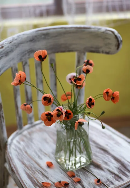 Little Red Poppies Bouquet Arranged Classical Style Stillife Popies Glasses — Stock Photo, Image