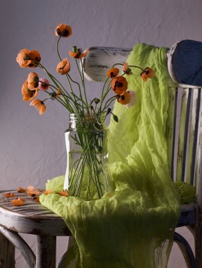 Klasik tarzda hazırlanmış küçük kırmızı gelincik buketi. Popies 'in klasik sandalyedeki vazoda durgun hayatı.