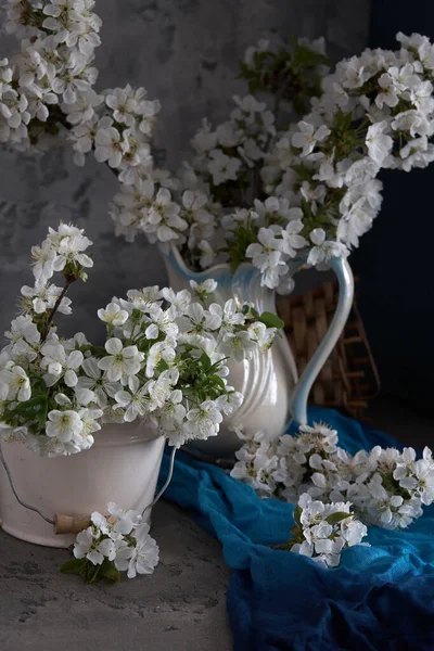 樱桃在灰色背景的白色花瓶中绽放 春天静谧的生活 — 图库照片
