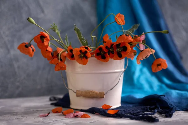 Petit Bouquet Coquelicots Rouges Vase Blanc Nature Morte Avec Des — Photo