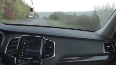 Şoför ve yolcu sonbaharda otoyolda araba kullanırlar.