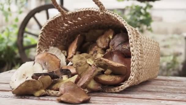 Mand Vol Met Grote Paddenstoelen Houten Tafel Buiten — Stockvideo