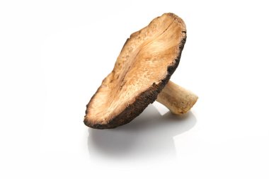 Beyaz arka planda izole edilmiş, gölgesi olan yabani mantar..