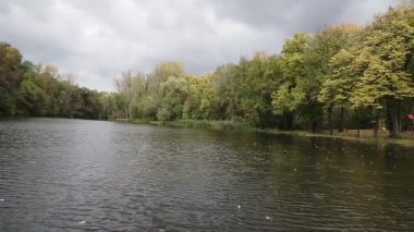 Şehir parkındaki gölün kıyısında güzel sonbahar portakal sarısı ağaçları