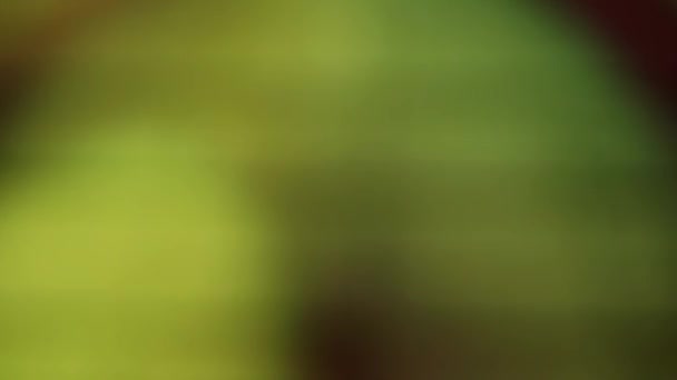 Černém Pozadí Třpytí Pestrobarevná Bokeh Světla Novoroční Prázdninové Zázemí Abstraktní — Stock video