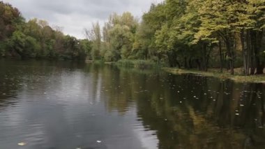 Şehir parkındaki gölün kıyısında güzel sonbahar portakal sarısı ağaçları